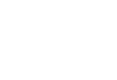 Renegades Racing